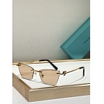 Tiffany Sunglasses # 303973