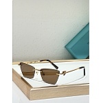 Tiffany Sunglasses # 303974