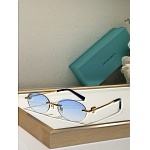 Tiffany Sunglasses # 303977