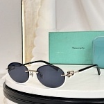 Tiffany Sunglasses # 303985