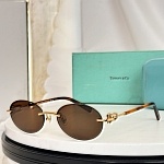 Tiffany Sunglasses # 303989