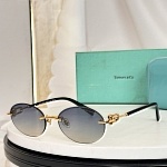 Tiffany Sunglasses # 303991