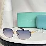 Tiffany Sunglasses # 303995