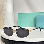 Tiffany Sunglasses # 303998