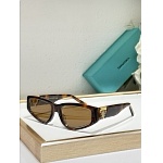 Tiffany Sunglasses # 304001