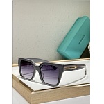 Tiffany Sunglasses # 304010
