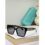 Tiffany Sunglasses # 304012