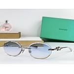 Tiffany Sunglasses # 304020
