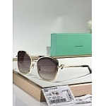 Tiffany Sunglasses # 304025