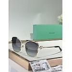 Tiffany Sunglasses # 304027