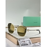 Tiffany Sunglasses # 304029