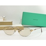 Tiffany Sunglasses # 304031