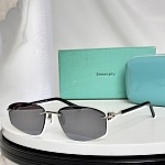 Tiffany Sunglasses # 304039