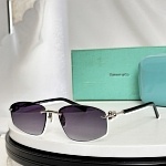 Tiffany Sunglasses # 304042