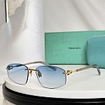 Tiffany Sunglasses # 304043