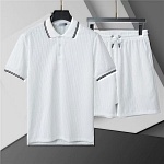 Dior Short Sleeve Polo Shirt and Shorts Set For Men For Men # 305853, cheap Dior Shirt Short Set