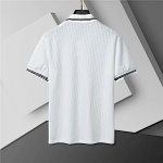 Dior Short Sleeve Polo Shirt and Shorts Set For Men For Men # 305853, cheap Dior Shirt Short Set